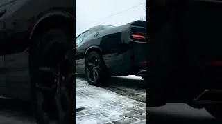 Зверь