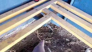 Пиво Женя убил Бутылку Виталю теперь я иду его бить го со мной
