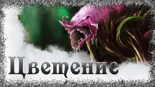Истории на ночь: Цветение