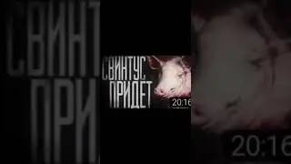 Свинтус придёт #мем #страшилка #shorts #мемы