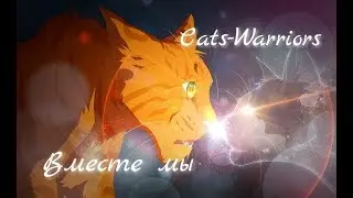 Коты-Воители | Вместе мы