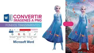 Cómo Convertir una Imagen JPG a PNG