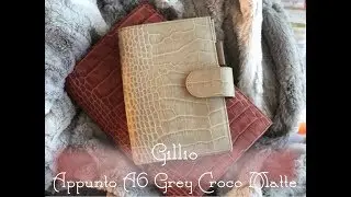 Gillio Grey Croco Mat A6 Appunto