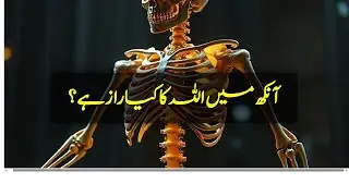 Human Eye: Allah Ki Nishaniyan | 576 Megapixels & Scientific Miracles in Islam