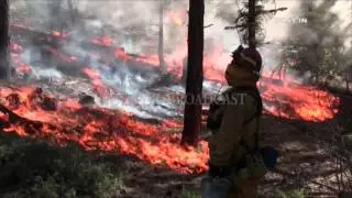 Lake Fire 6-18-15