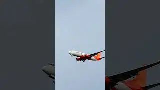 #firefly