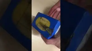12 июля 2024 г.