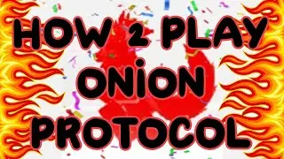 Orion Protocol Beginner Gapping Tutorial
