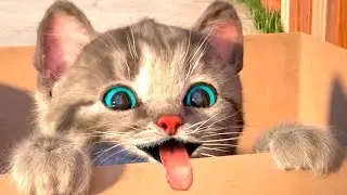 Cute Kitten Little Cat Adventure - Play Fun Pet Care - Preschool Educational Game Learning for kids