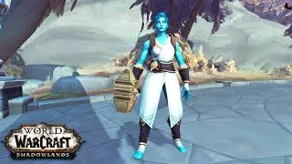Wow Shadowlands frases de Kleia en Español Latino
