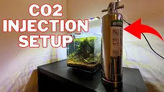 HOW TO: Setup A CO2 System For Your Planted Aquarium or Aquascape
