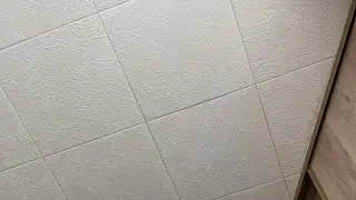 Ашука Иззи в прямом эфире!