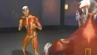 Muscle man