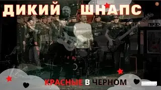 Осторожно! ДИКИЙ ШНАПС not dead! Full concert!