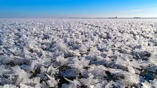 Цимлянское водохранилище 2024г.