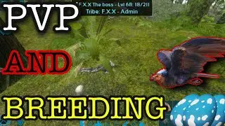 PvP and breeding | Making HUGE progress | Farming | MTS | S2 Eps 3
