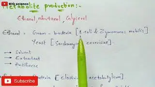 Exploitation of microorganisms and their products | Bacteria and Fungi | Fermentation | Bio science