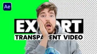 How to Export Transparent Video in After Effects