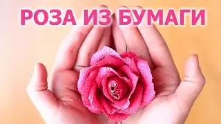 РОЗА ИЗ КОНФЕТКИ И БУМАГИ! СБОРКА!
