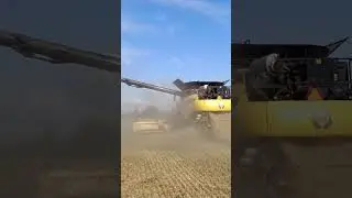 Разгрузка на ходу #агроном #farming #automobile #зерно