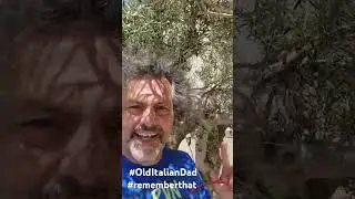 #olditaliandad wants you to #rememberthat #tuesdayspecial #reel #olivebranch #olivetree