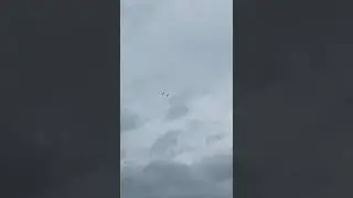 Голуби Сергея Пермь