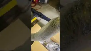 Noble Titanium Exhaust Unboxing!! 