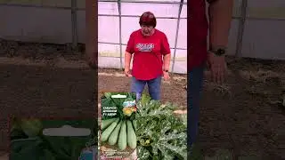 Завалил нас урожаем
