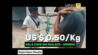 Hakarak hola Cafe? Mai iha nee de'it!!!!!
