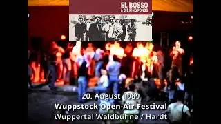 El Bosso & die Ping Pongs Live - Wuppstock 1989