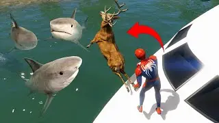 سبايدرمان يربي اسماك القرش في بحيرة طائرة ويسقط والقروش Spiderman raises sharks GTA V