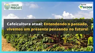 Podcast #138 - Cafeicultura atual: Entendendo o passado, vivemos um presente pensando no futuro!