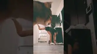 уот всё загородил