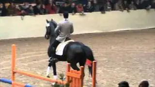 Joeris (Ferro)