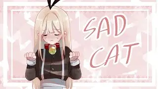 sad cat dance - meme