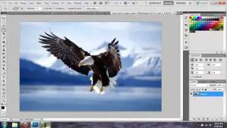 Speed Art #13: Freedom