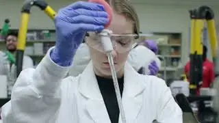 Area of Study – Science