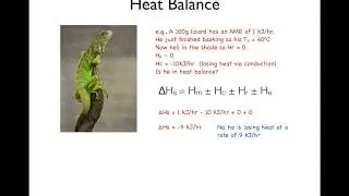 4. Heat Balance
