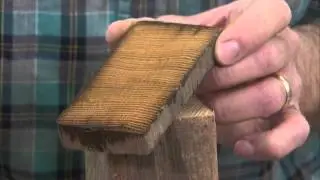 The American Woodshop Season 23 Web Extra: Wood I.D. Workshop