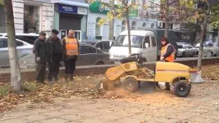 Уничтожители пней