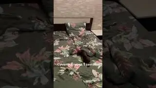 Суматоха перед 1 сентября. Помощь к ОГЭ и ЕГЭ в моем ТГ-канале https://t.me/russkij_s_ekspertom