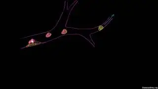 Tromboemboli ve Tromboembolizm (Sağlık: Çeşitli Konular)