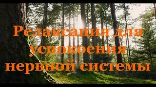 Релаксация на успокоение нервной системы