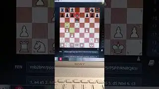 шахматный гамбит