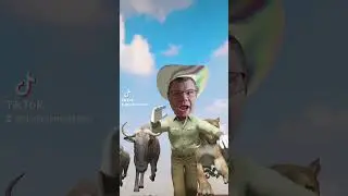 Mess With The Bull #comedy #funny #memes