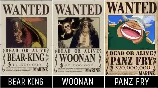 HIGHEST NON CANON BOUNTIES in ONE PIECE