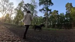 Horse Training Drone Video - DJI FPV & GoPro 11 Mini