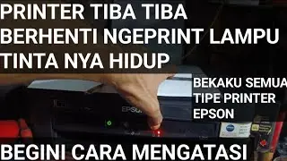 printer Epson tiba-tiba berhenti ngeprint dan lampu tinta hidup