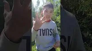 Как научиться делать сальто вперёд?