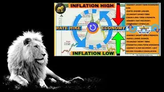 MMGinvest Rate Hike Inflation Stock Market Economy Cycle Chart